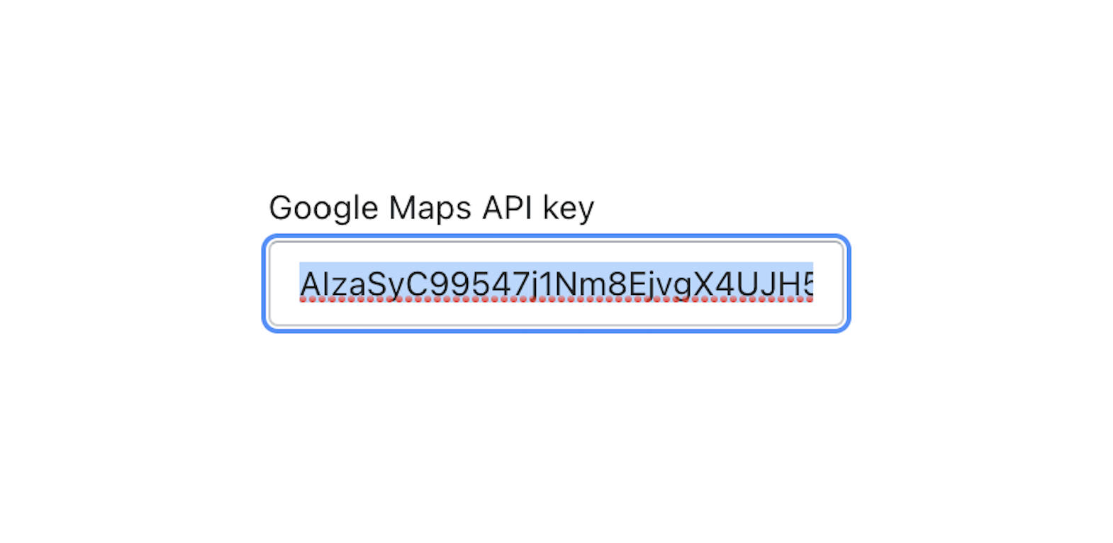 Paste the API key into theme settings